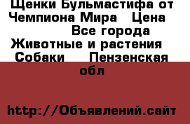 Щенки Бульмастифа от Чемпиона Мира › Цена ­ 1 000 - Все города Животные и растения » Собаки   . Пензенская обл.